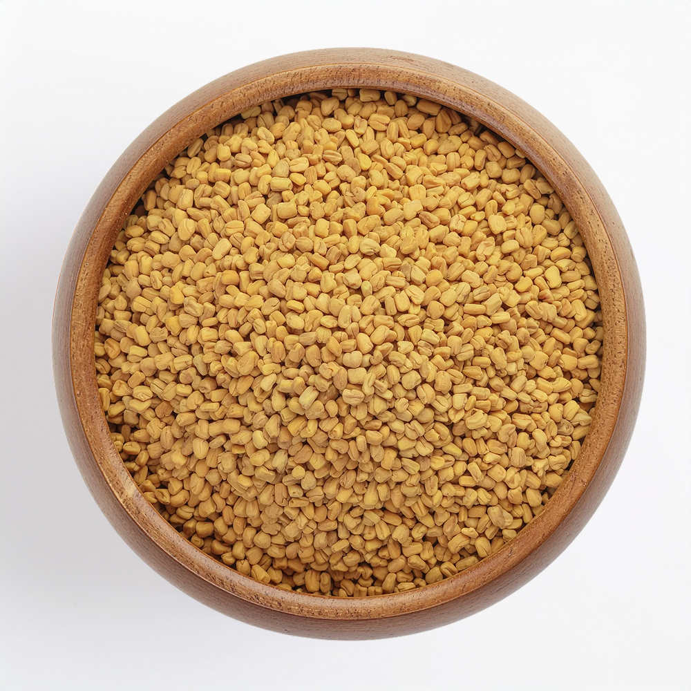 sortex-cleaned-fenugreek-seeds-export-from-india
